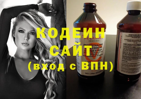 прущие грибы Алагир