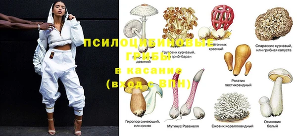 ГАЛЛЮЦИНОГЕННЫЕ ГРИБЫ Волоколамск