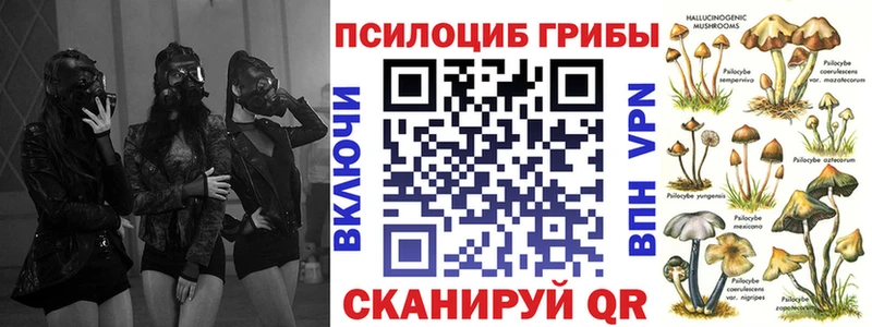 кракен как войти  цена наркотик  Ивдель  Галлюциногенные грибы GOLDEN TEACHER 